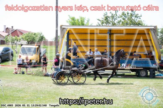 Mintakép 20260531-1281