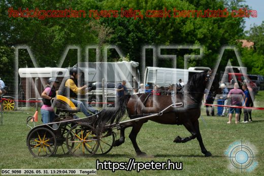 Mintakép 20260531-1282