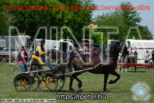 Mintakép 20260531-1283