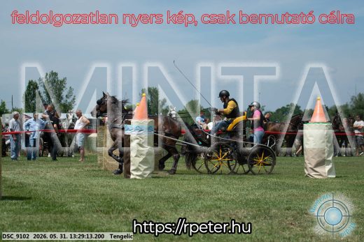 Mintakép 20260531-1285