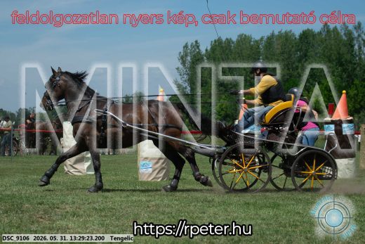 Mintakép 20260531-1288