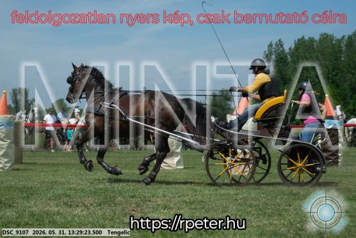 Mintakép 20260531-1289