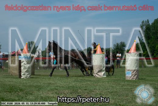 Mintakép 20260531-1290