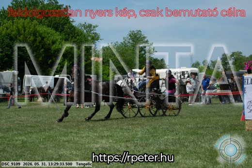 Mintakép 20260531-1291
