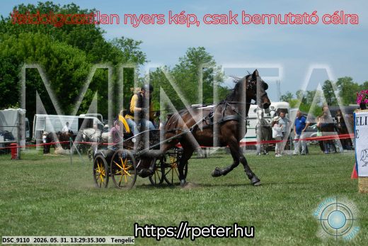 Mintakép 20260531-1292