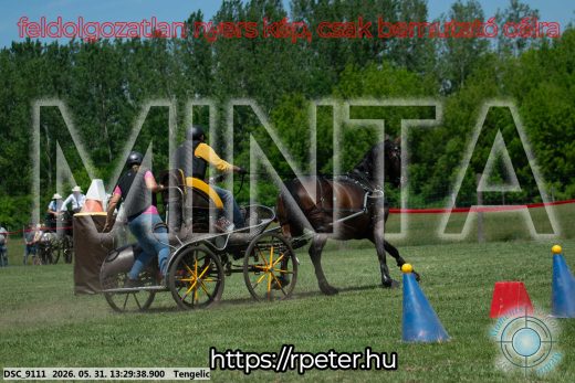Mintakép 20260531-1293