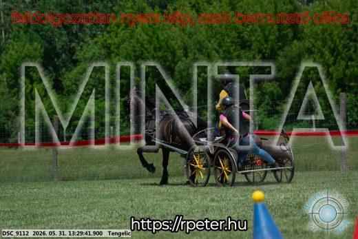 Mintakép 20260531-1294