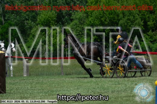Mintakép 20260531-1295