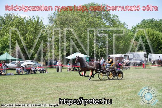 Mintakép 20260531-1296