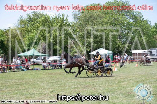Mintakép 20260531-1297