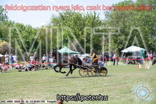 Mintakép 20260531-1299