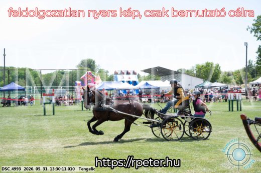 Mintakép 20260531-1302