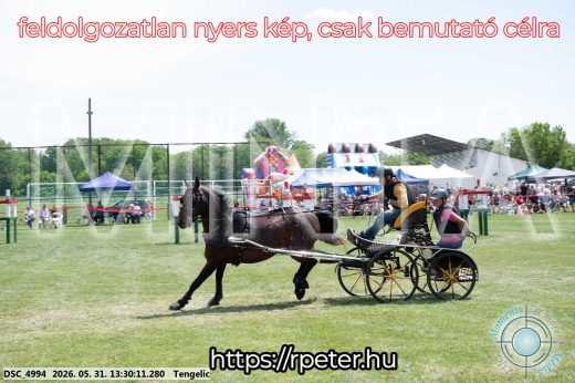 Mintakép 20260531-1303