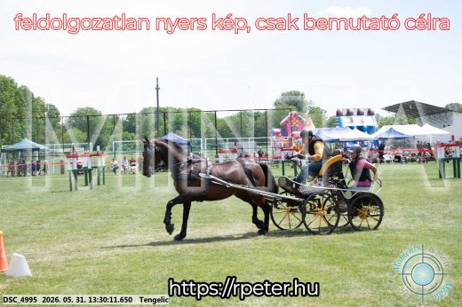 Mintakép 20260531-1304