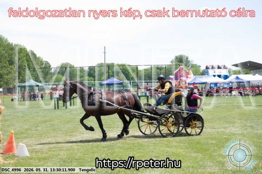 Mintakép 20260531-1305