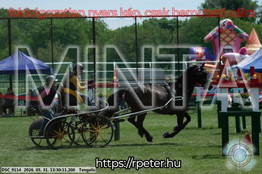 Mintakép 20260531-1306