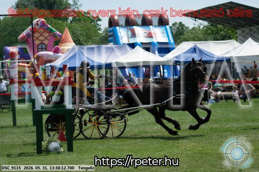 Mintakép 20260531-1308