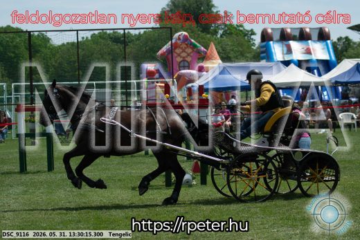 Mintakép 20260531-1309