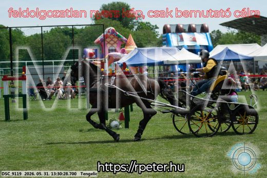 Mintakép 20260531-1310