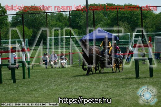 Mintakép 20260531-1312