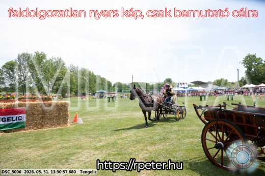 Mintakép 20260531-1313