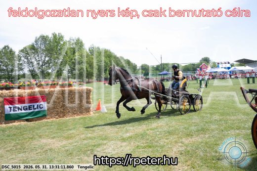 Mintakép 20260531-1315
