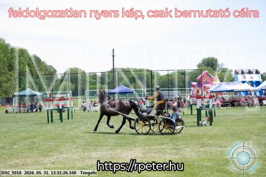 Mintakép 20260531-1317