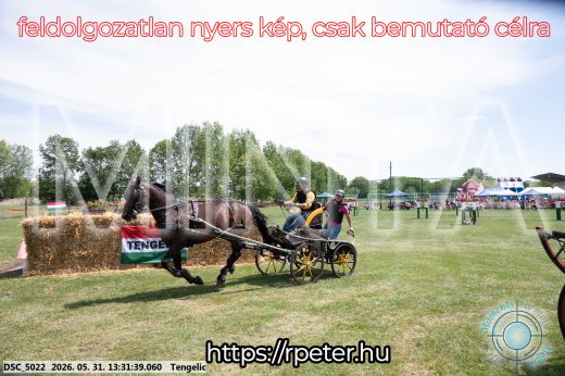 Mintakép 20260531-1319