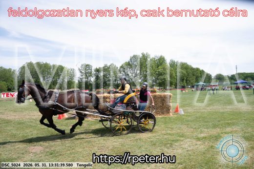 Mintakép 20260531-1320