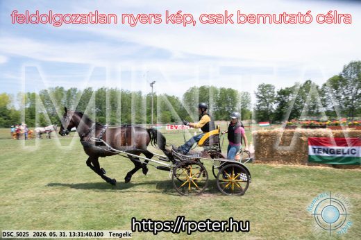 Mintakép 20260531-1321