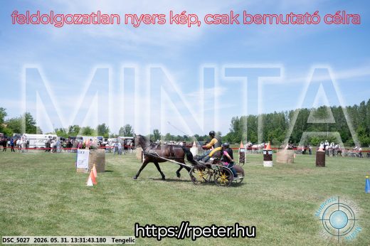 Mintakép 20260531-1322