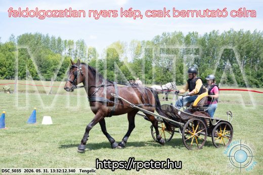 Mintakép 20260531-1324