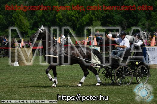 20260531-114214-DSC_8381.jpg