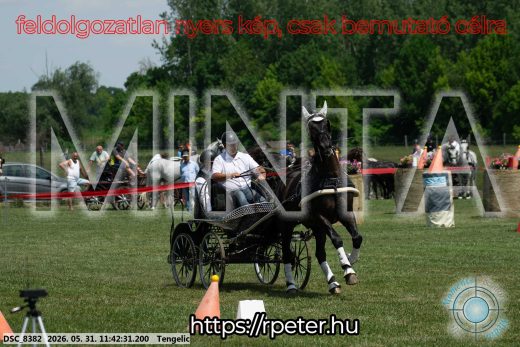 20260531-114231-DSC_8382.jpg