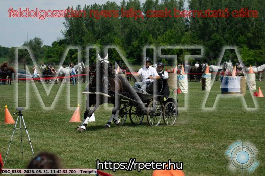 20260531-114233-DSC_8383.jpg