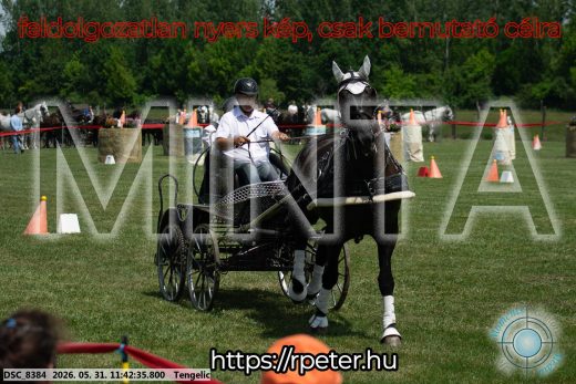 Mintakép 20260531-1328