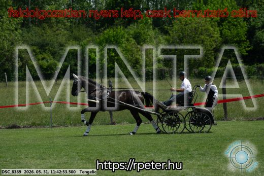 Mintakép 20260531-1332