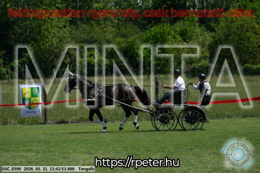 Mintakép 20260531-1333