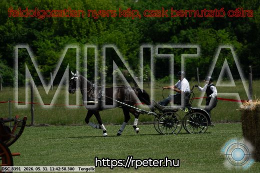 Mintakép 20260531-1334