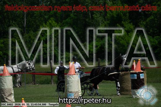 Mintakép 20260531-1345