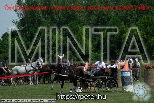 Mintakép 20260531-1347