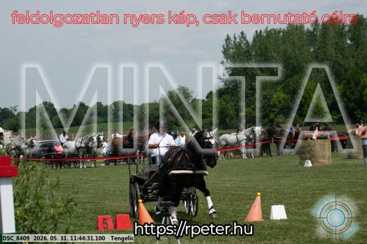 Mintakép 20260531-1351