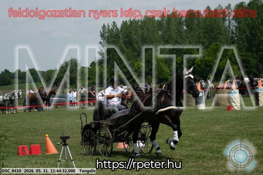 Mintakép 20260531-1352
