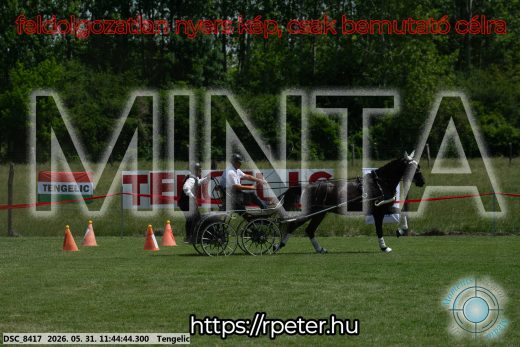 Mintakép 20260531-1359