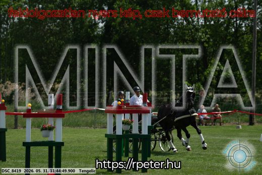 Mintakép 20260531-1361