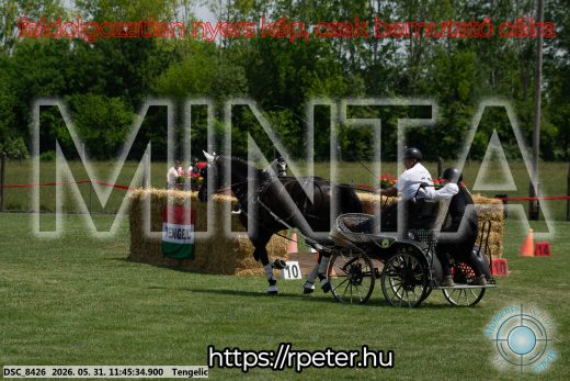 Mintakép 20260531-1367