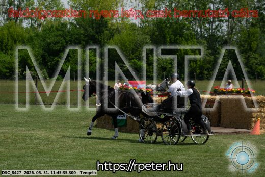 Mintakép 20260531-1368