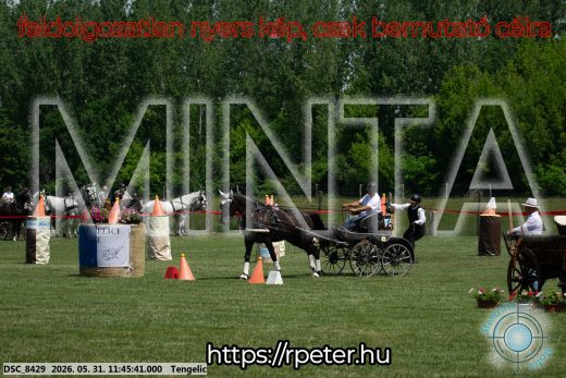 Mintakép 20260531-1370