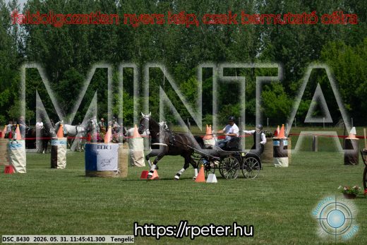 Mintakép 20260531-1371