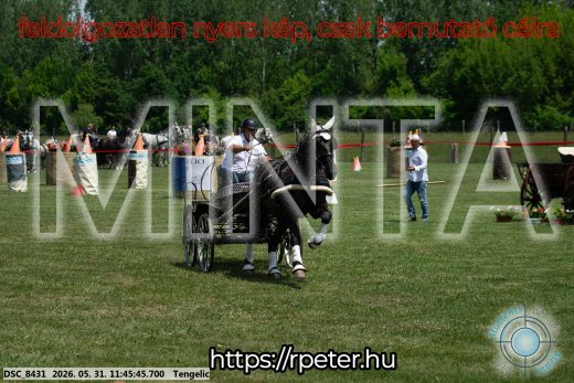 Mintakép 20260531-1372